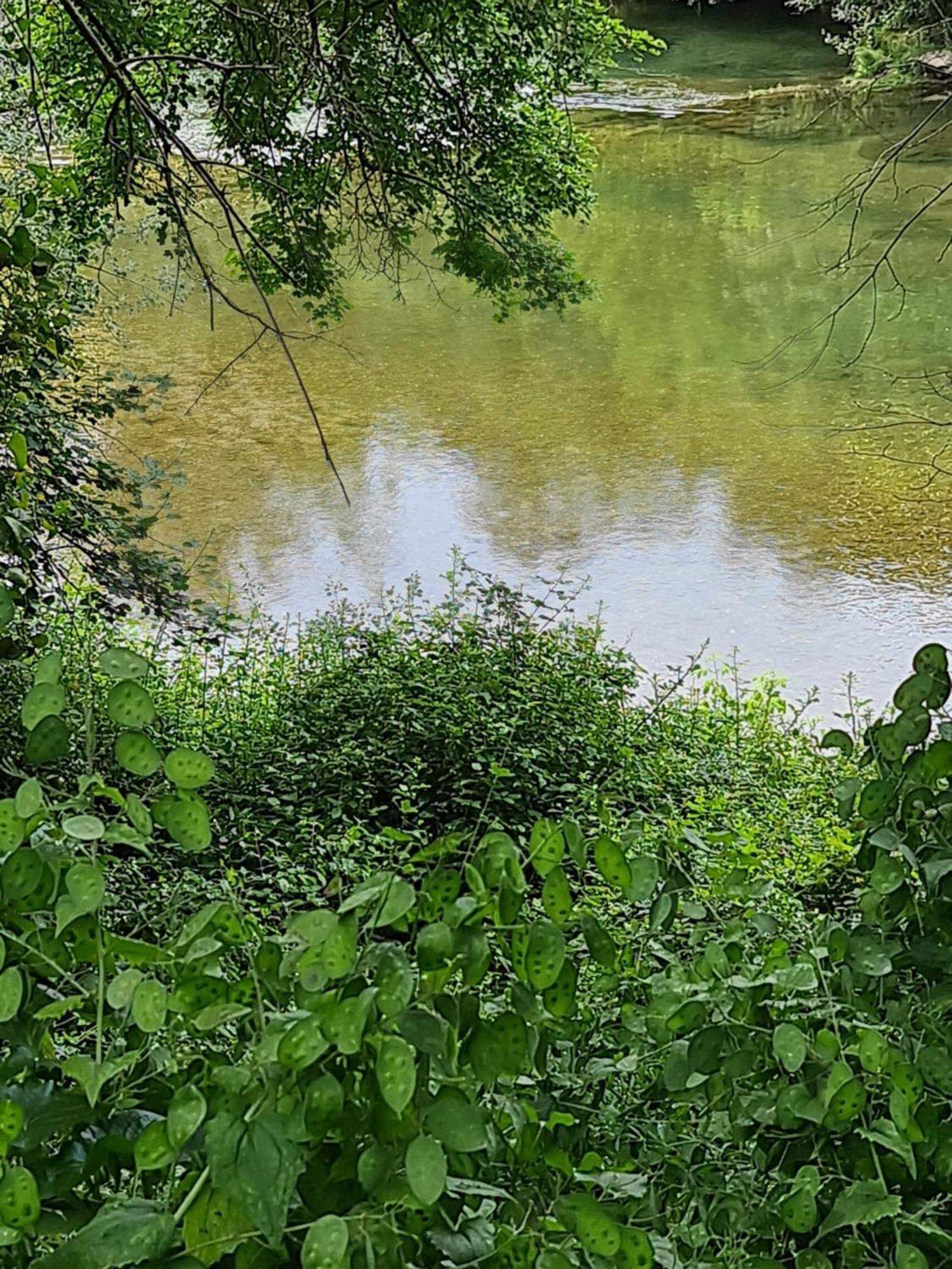 Domaine Du Moulin De Cors Hotell La Roque-sur-Cèze Exteriör bild