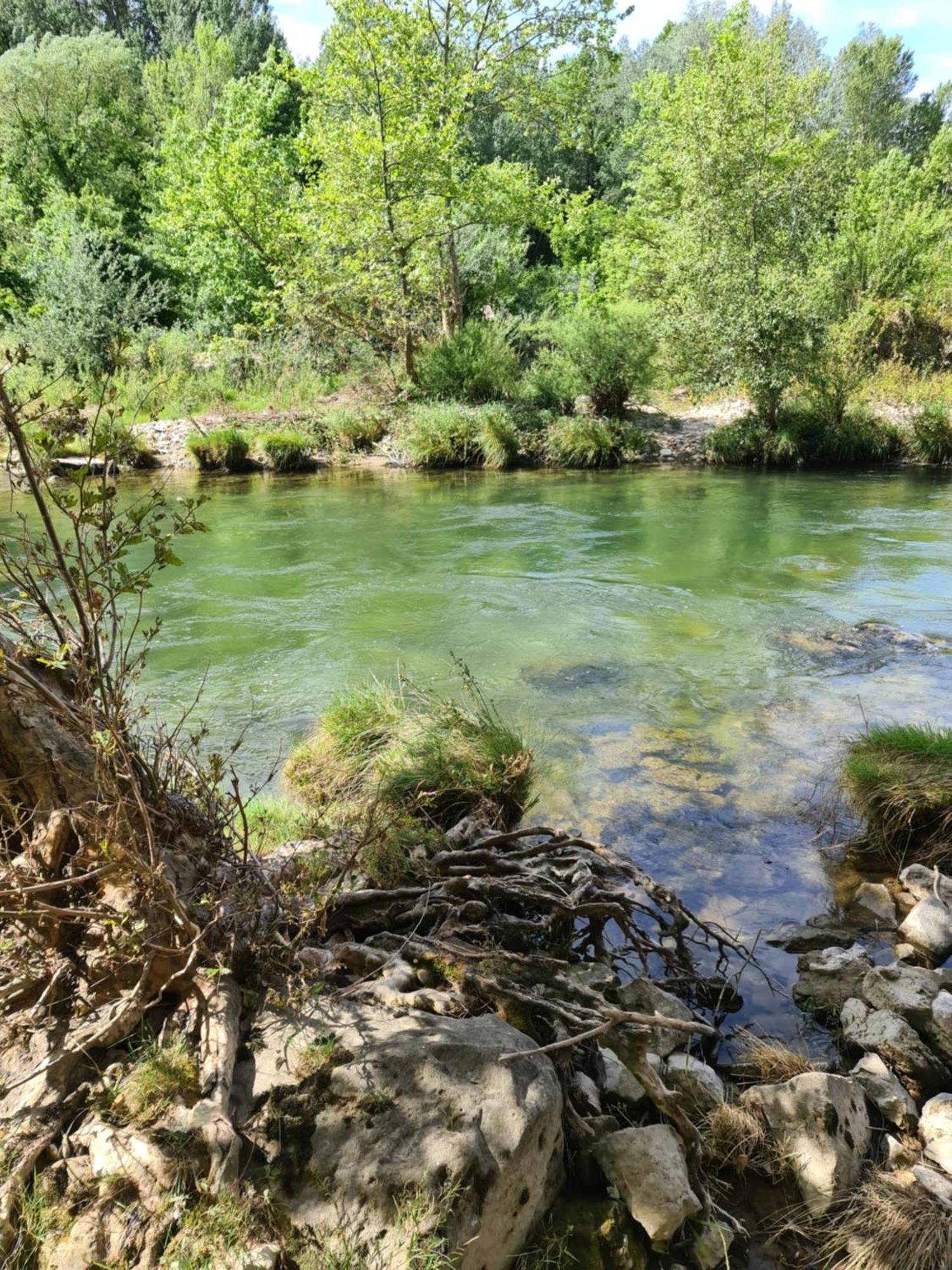 Domaine Du Moulin De Cors Hotell La Roque-sur-Cèze Exteriör bild